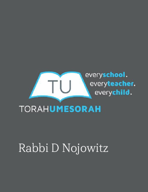 Rabbi D Nojowitz